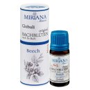 Miriana Pet 03 Beech Globuli 10 g