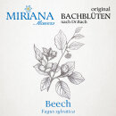 Miriana Pet 03 Beech Globuli 10 g