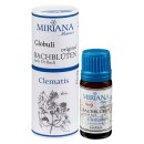 Miriana Pet 09 Clematis Globuli 10 g