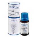 Miriana Pet 13 Gorse Globuli 10 g