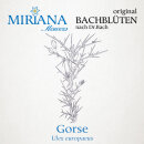 Miriana Pet 13 Gorse Globuli 10 g