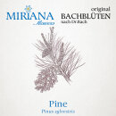 Miriana Pet 24 Pine Globuli 10 g