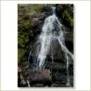 Miriana Pet 27 Rock Water Globuli 10 g