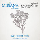 Miriana Pet 28 Scleranthus Globuli 10 g