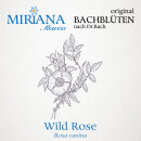 Miriana Pet 37 Wild Rose Globuli 10 g