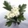Natusat Weißdornblätter mit Blüten geschnitten 500 g