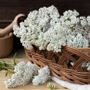 Natusat Schafgarbe geschnitten 500 g